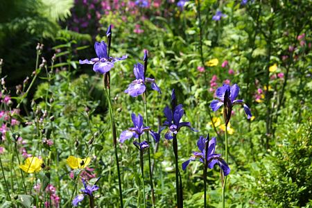 Foto aus der Fotogruppe 