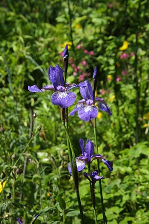 Foto aus der Fotogruppe 