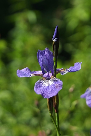 Foto aus der Fotogruppe 