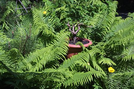 Foto aus der Fotogruppe 