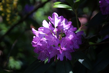 Foto aus der Fotogruppe 