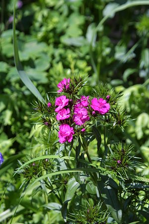 Foto aus der Fotogruppe 